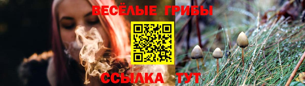 Псилоцибиновые грибы Magic Shrooms  Вход с VPN  Спасск-Дальний 
