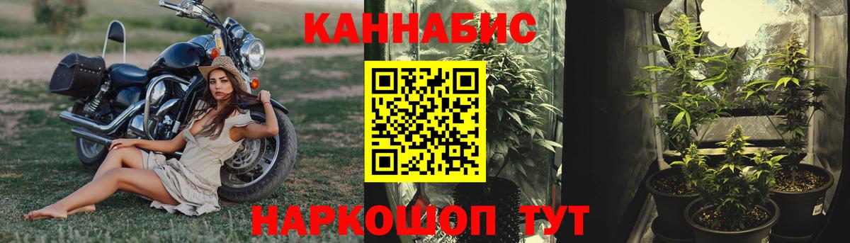 Бошки марихуана OG Kush  Канабис сатива  Бошки Шишки Bruce Banner  Спасск-Дальний  Вход с VPN 